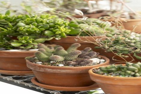 Photo of property in Liffey Village, 36/28 James Street, Lincoln, 7608