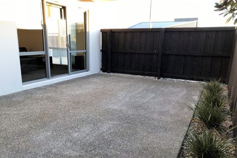 Photo of property in 48 Winchester Street, Merivale, Christchurch, 8014