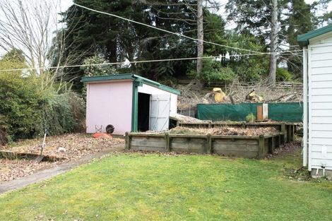 Photo of property in 101 Arapuni Street, Putaruru, 3411