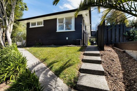 Photo of property in 110 Reservoir Street, Putaruru, 3411