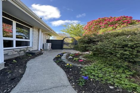 Photo of property in 19 Talltree Avenue, Avonhead, Christchurch, 8042
