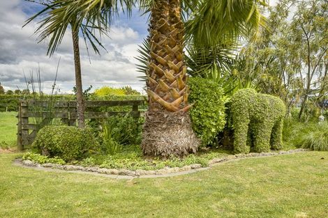 Photo of property in 52 Napier Street, Jervoistown, Napier, 4112