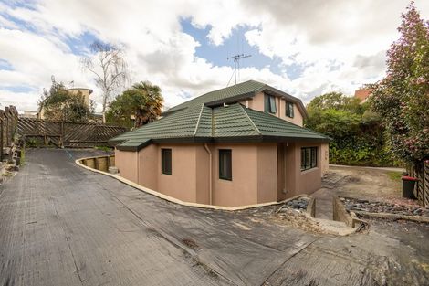 Photo of property in 25a Horne Street, Hamilton Central, Hamilton, 3204