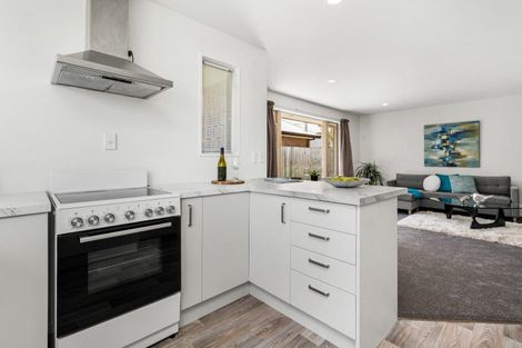 Photo of property in 16 Lindores Street, Addington, Christchurch, 8024