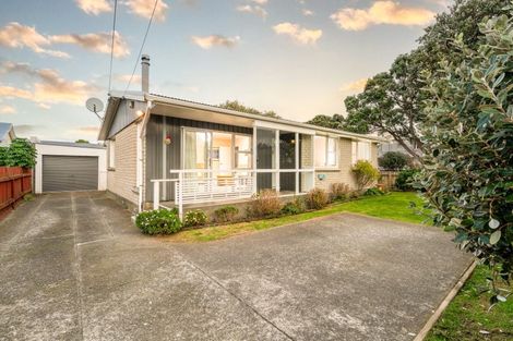 Photo of property in 22a Chelsea Street, Miramar, Wellington, 6022