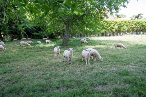 Photo of property in 21 Bollard Road, Tamahere, 3283