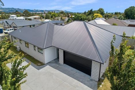 Photo of property in 8c No 2 Road, Te Puke, 3119