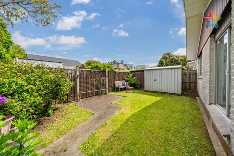 Photo of property in 48 Kings Crescent, Hutt Central, Lower Hutt, 5010