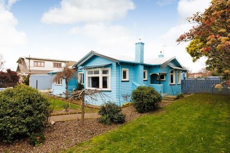 Photo of property in 93 Wood Street, Takaro, Palmerston North, 4410