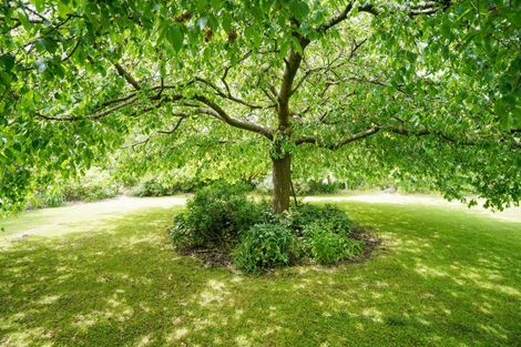 Photo of property in 75 Matua Road, Otatara, Invercargill, 9879