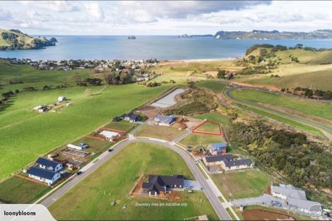 Photo of property in 14 Powhiri Place, Wharekaho, Whitianga, 3510