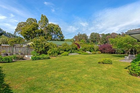 Photo of property in 11 Dryden Street, Whataupoko, Gisborne, 4010