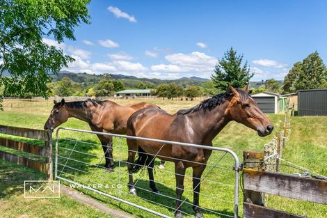 Photo of property in 15 Malcolm Gillies Grove, Totara Park, Upper Hutt, 5018