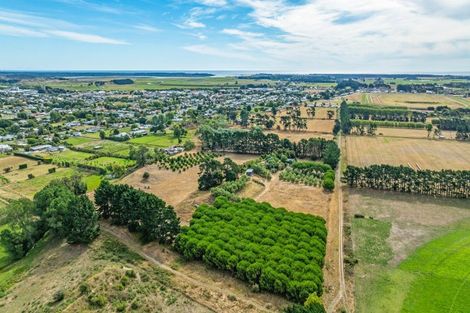 Photo of property in 78 Donnelly Road, Foxton, 4891