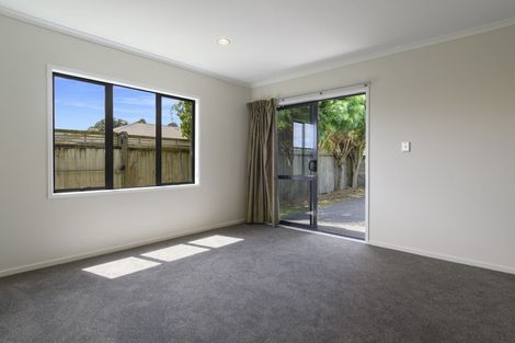 Photo of property in 113 Solomon Street, Brookfield, Tauranga, 3110