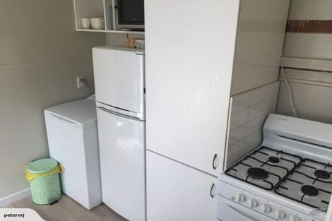 Photo of property in 28 Macdonald Crescent, Te Aro, Wellington, 6011