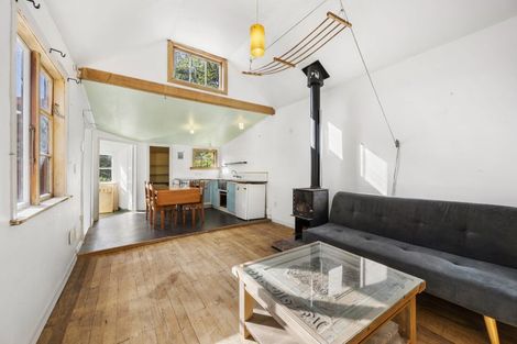 Photo of property in 113 Holloway Road, Aro Valley, Wellington, 6021