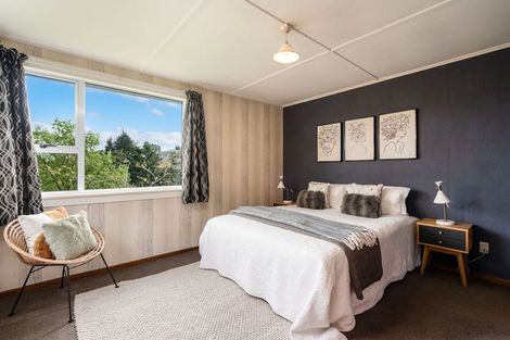 Photo of property in 30 Panmure Avenue, Calton Hill, Dunedin, 9012