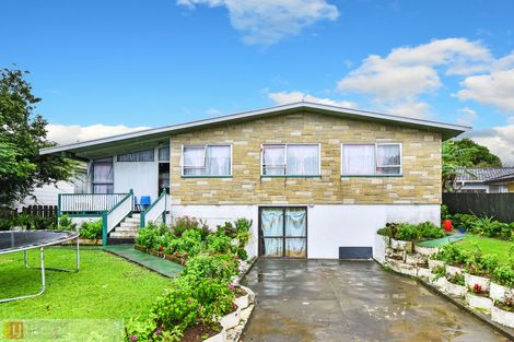 Photo of property in 336 Roscommon Road, Clendon Park, Auckland, 2103