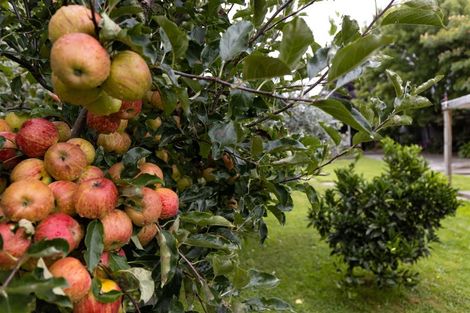 Photo of property in 11 Frederick Street, Spring Creek, 7202