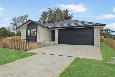 Photo of property in 13 Purcell Street, Foxton, 4814