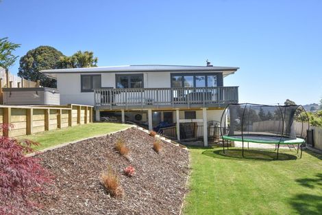 Photo of property in 16 Owen Street, Green Island, Dunedin, 9018