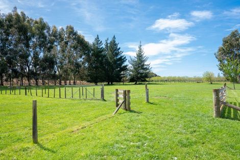 Photo of property in 466 Te Aute Road, Pakipaki, Hastings, 4172