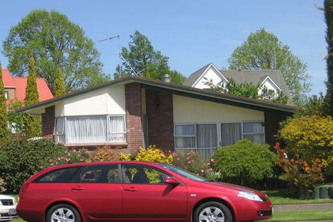 Photo of property in 17 Lindale Street, Morrinsville, 3300