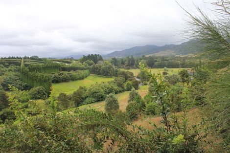 Photo of property in 81a Mcmillan Road, Tahawai, Katikati, 3170