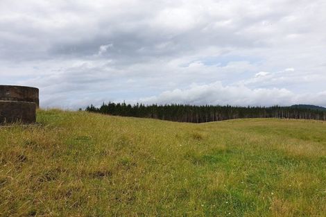 Photo of property in 127a Oruawharo Road, Topuni, Wellsford, 0975