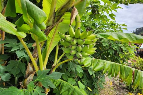 Photo of property in 201 Robert Street, Thames, 3500