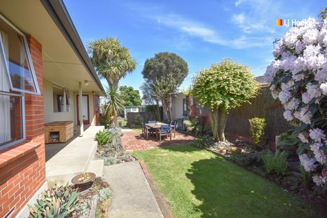 Photo of property in 46 Braemar Street, Mosgiel, 9024