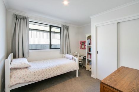 Photo of property in 1029a Waipuna Street, Mahora, Hastings, 4120