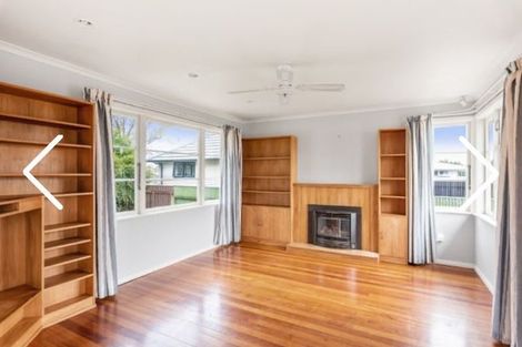 Photo of property in 55 Power Street, Levin, 5510
