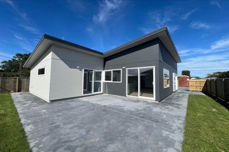 Photo of property in 86a Totara Street, Tawhero, Whanganui, 4501