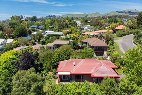 Photo of property in 31 Busby Hill, Havelock North, 4130