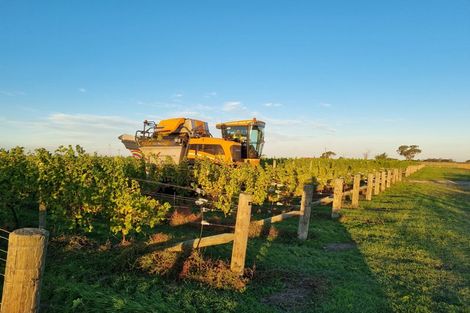 Photo of property in 344 Jones Road, Grovetown, Blenheim, 7273