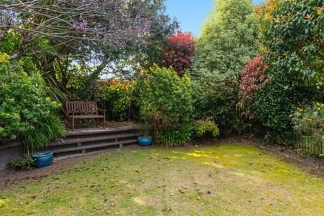 Photo of property in 41 Bethlehem Heights, Bethlehem, Tauranga, 3110
