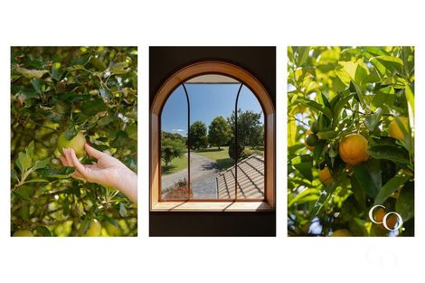 Photo of property in 39 Jacks Lane, Oropi, Tauranga, 3173