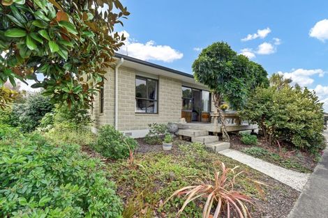 Photo of property in 2 Field Place, Richmond, 7020