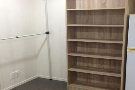 Photo of property in The Silo Apartments, 9f/23 Emily Place, Auckland Central, Auckland, 1010