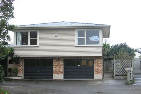 Photo of property in 39b Saint Albans Avenue, Hokowhitu, Palmerston North, 4410