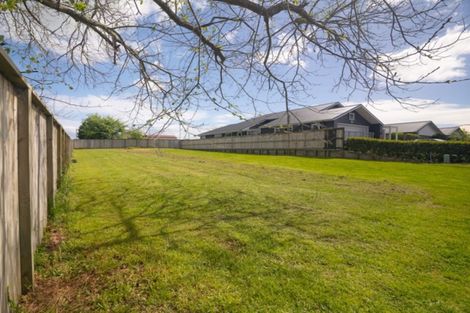 Photo of property in 91 Carmichael Road, Bethlehem, Tauranga, 3110