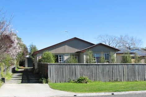 Photo of property in 12a Everest Avenue, Havelock North, 4130