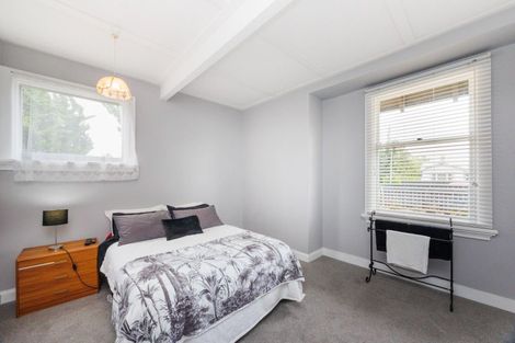 Photo of property in 113 Shamrock Street, Takaro, Palmerston North, 4412