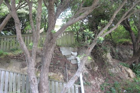 Photo of property in 4 Waipapa Road, Hataitai, Wellington, 6021