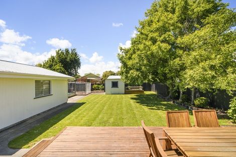 Photo of property in 19 Montgomery Street, Feilding, 4702