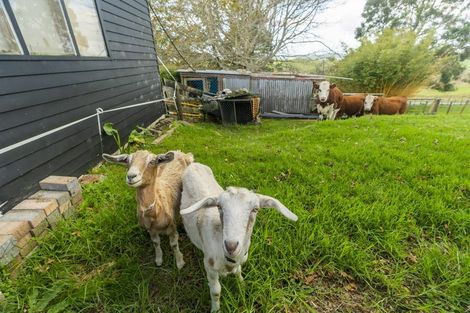 Photo of property in 210 Milne Road, Purua, Whangarei, 0172