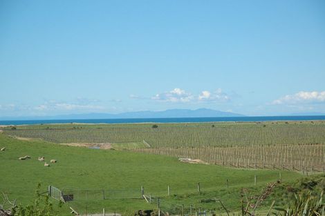 Photo of property in 299 Reserve Road, Seddon, 7285