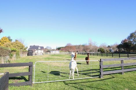 Photo of property in 133 Collinson Street, Pirongia, 3802